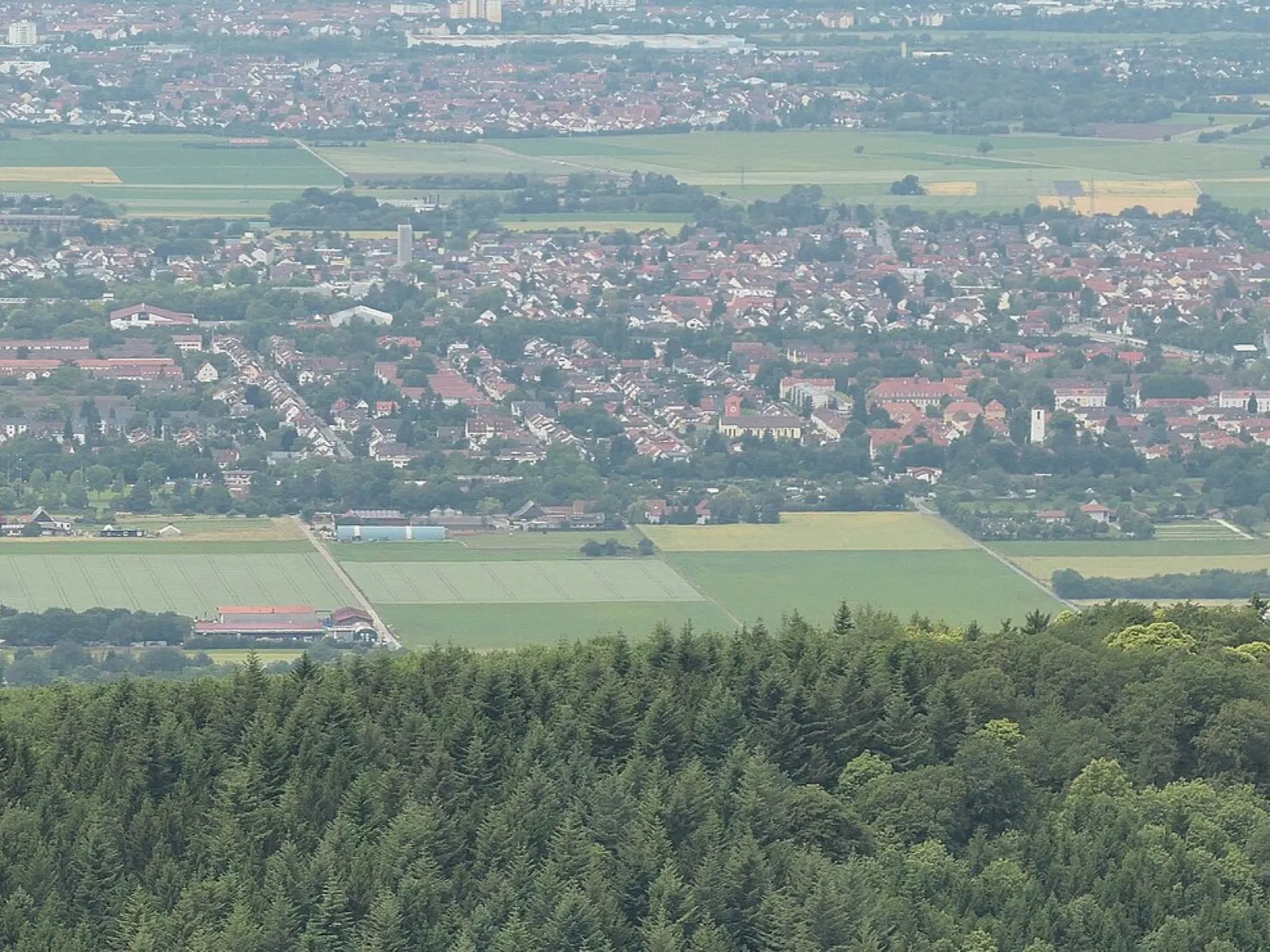 Heidelberg-Pfaffengrund, Gartenstadt-Areal