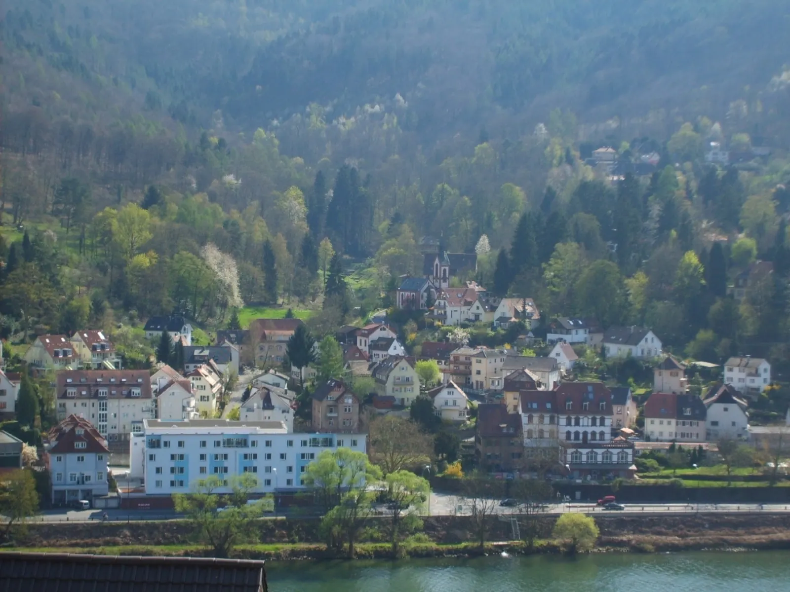 Heidelberg-Schlierbach am Neckarufer