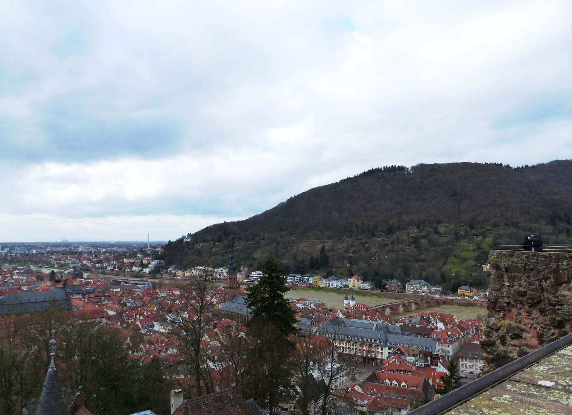 View over the Neckar valley around Heidelberg