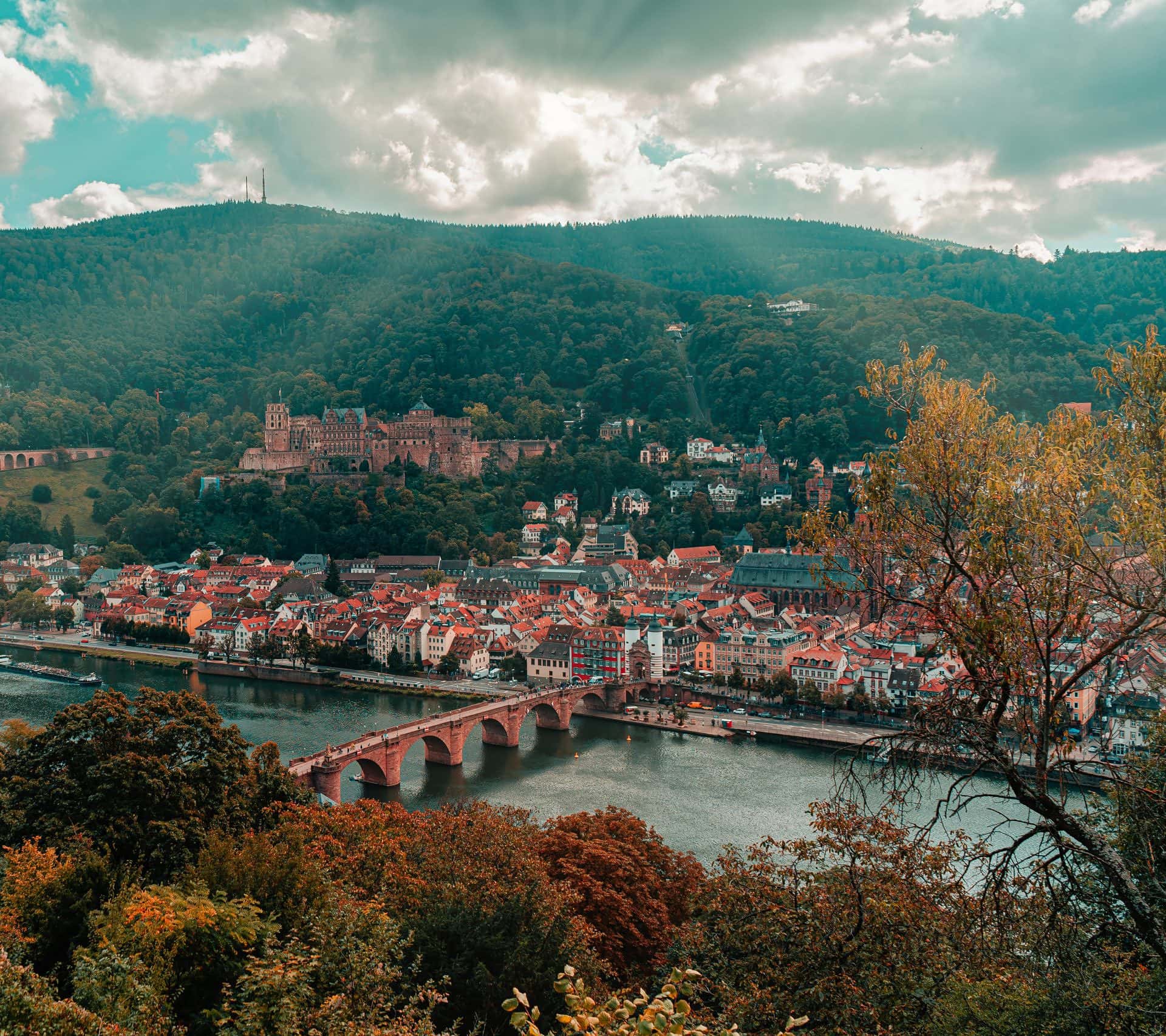 Königstuhl Heidelberg