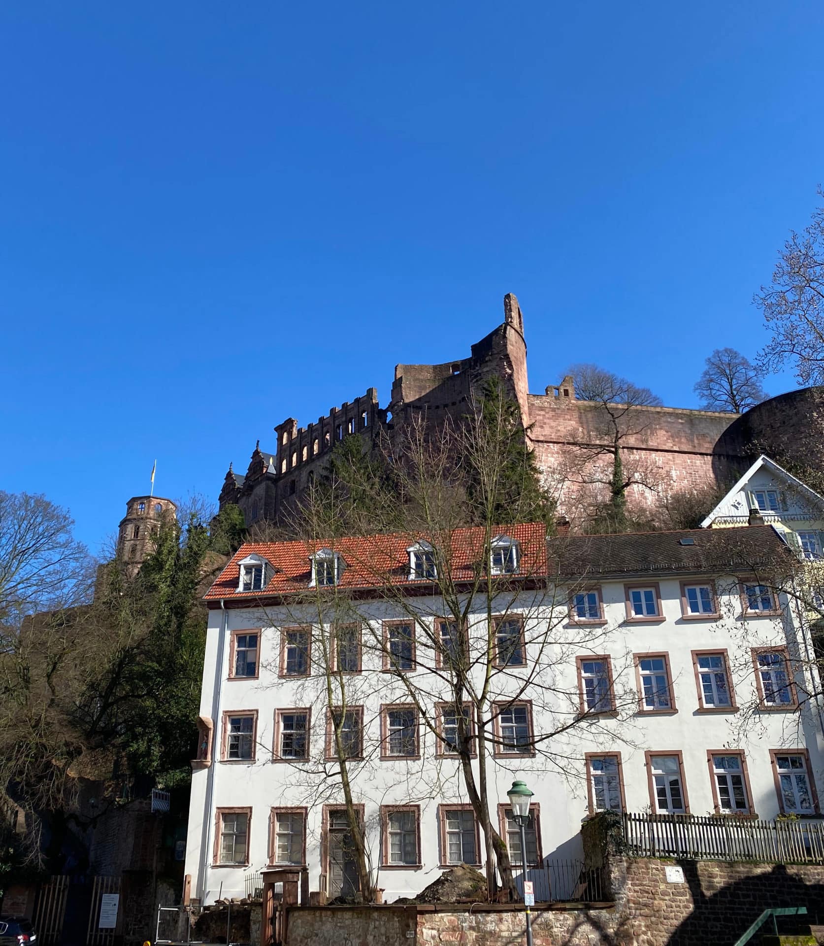 Schloss Heidelberg: Das Heidelberger Schloss im Überblick
