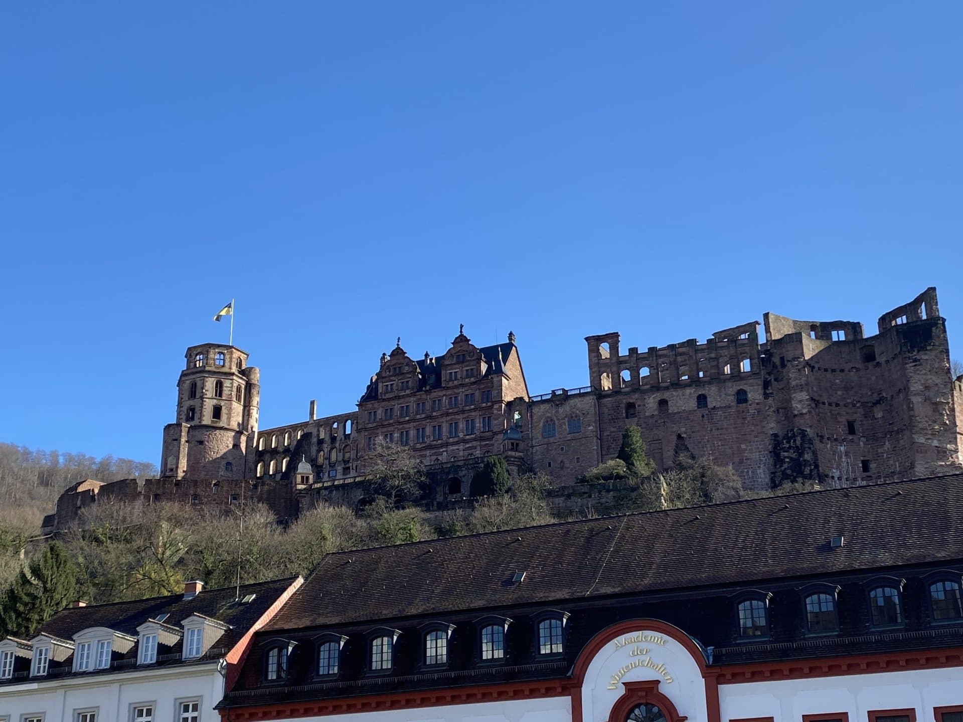Heidelberger Schloss vom Karlsplatz aus gesehen