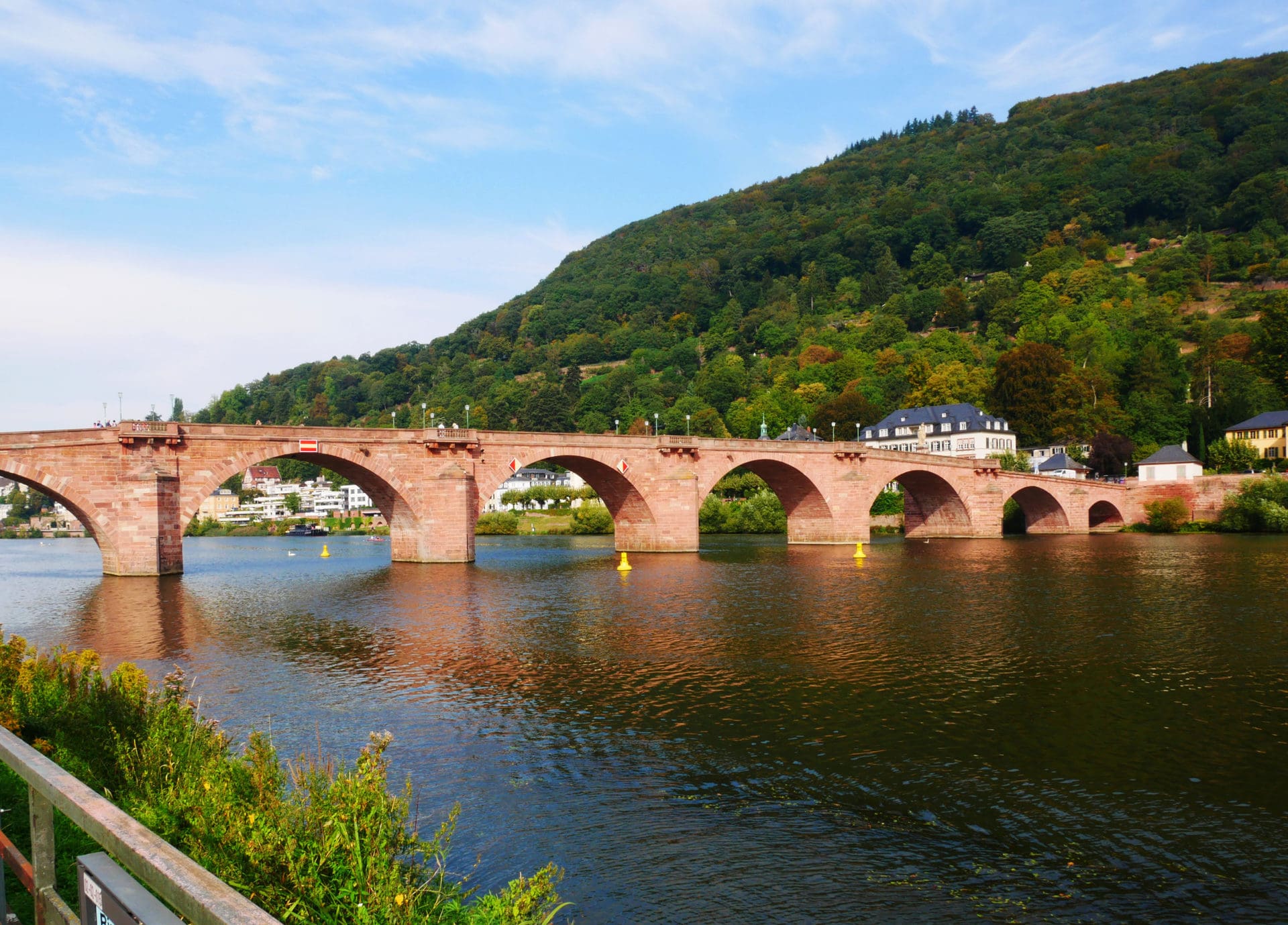 Heidelberger Kulturguide
