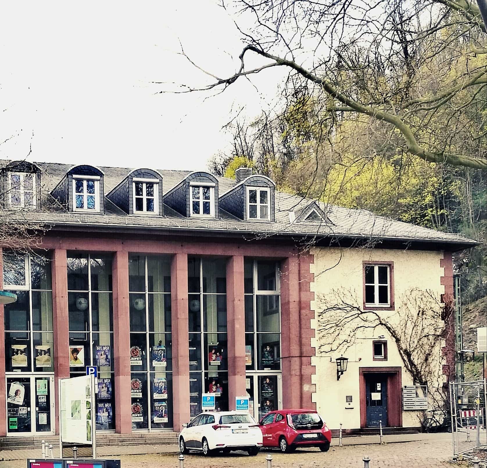 Studieren in Heidelberg