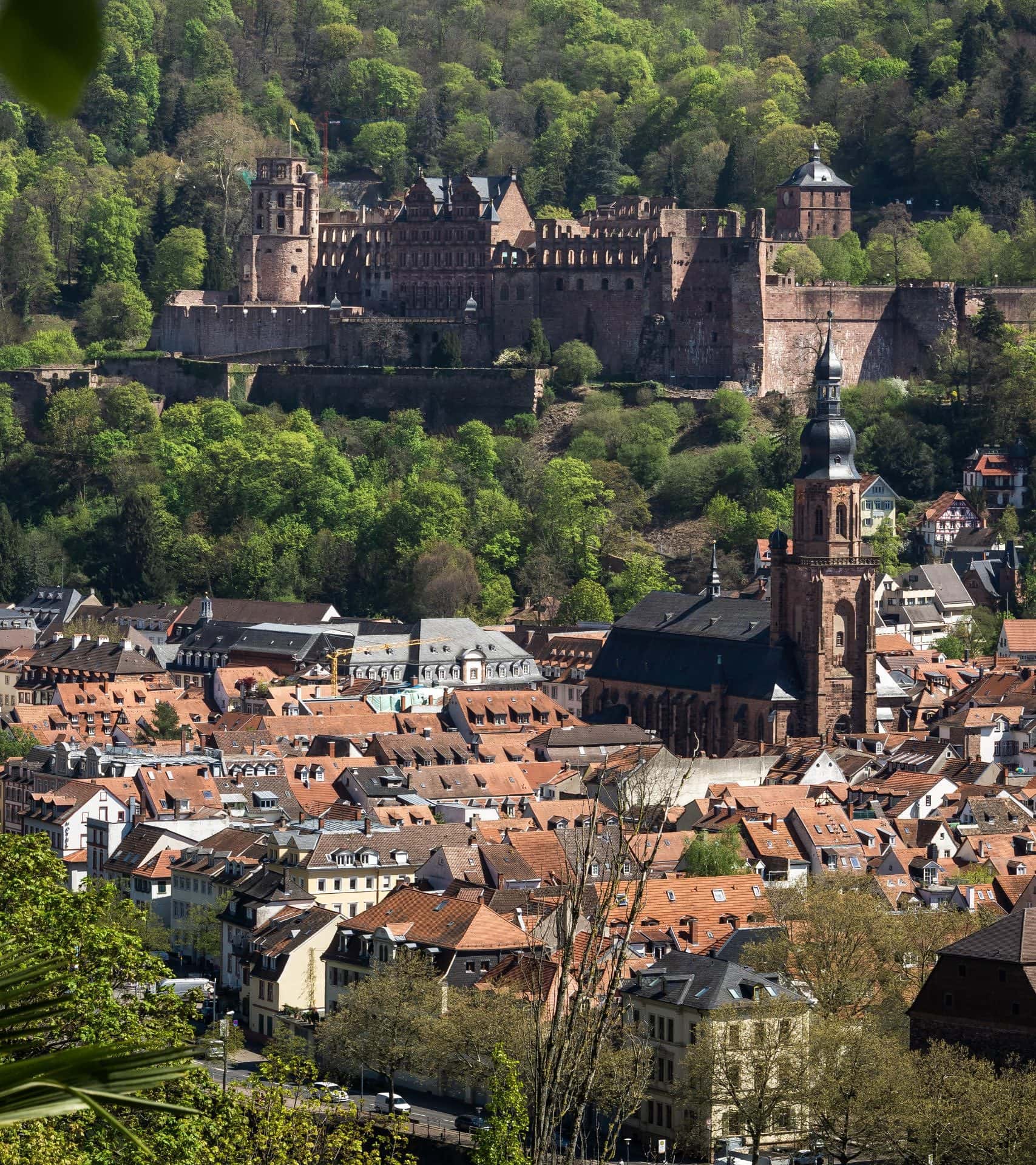 View from Philosopher's Path overlooking Heidelberg