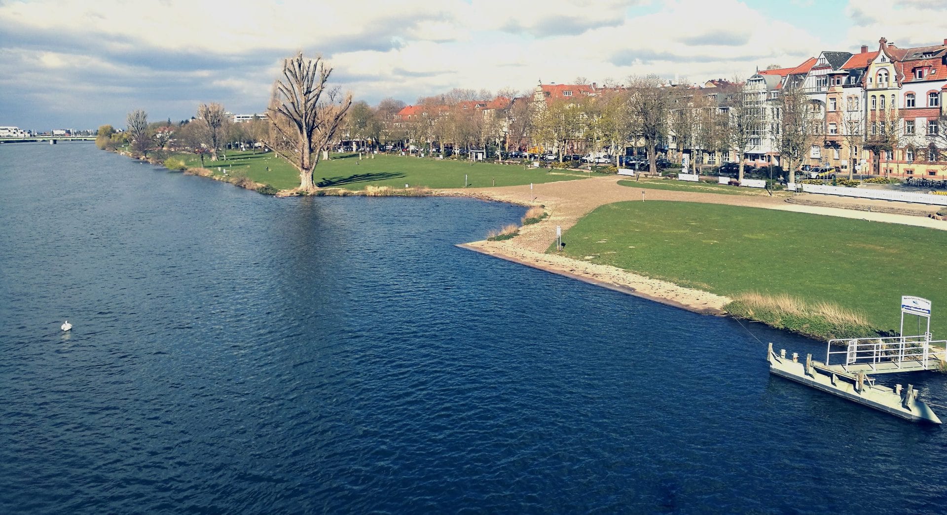 Neckarwiese Heidelberg Wiese zum Grillen und Feiern