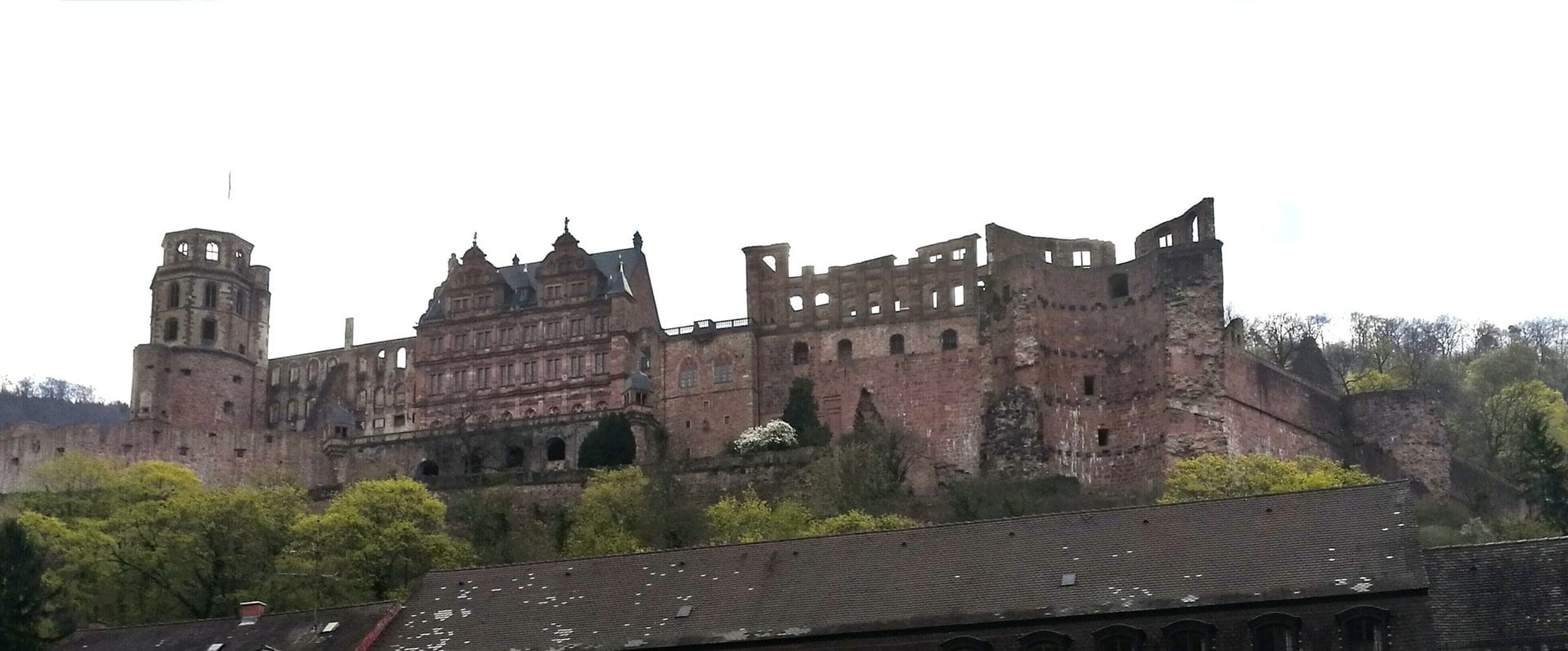 Heidelberger Schloss von unten fotografiert romantisch