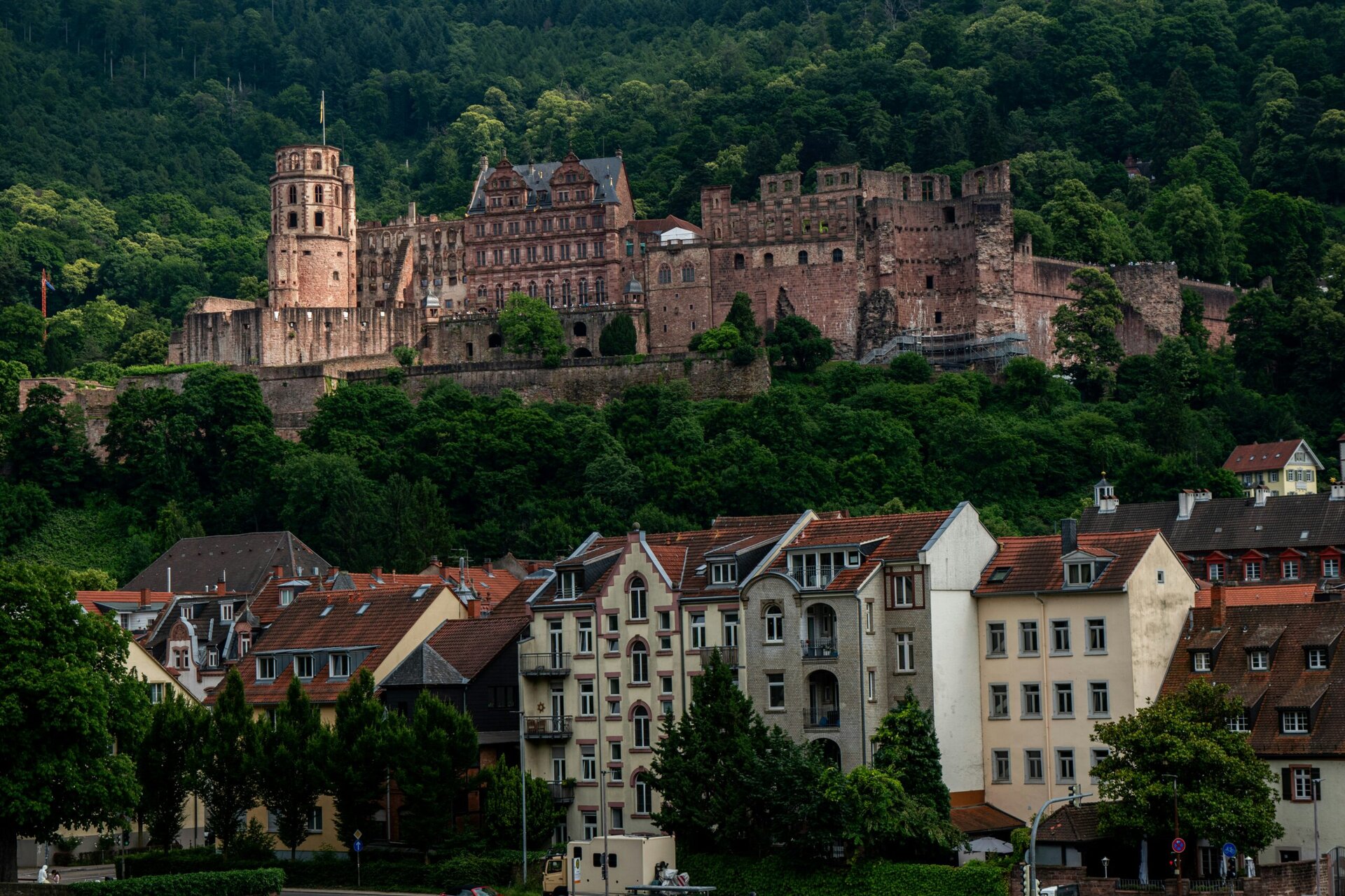 Outdoor photography setup at Neckarwiese riverside park in Heidelberg