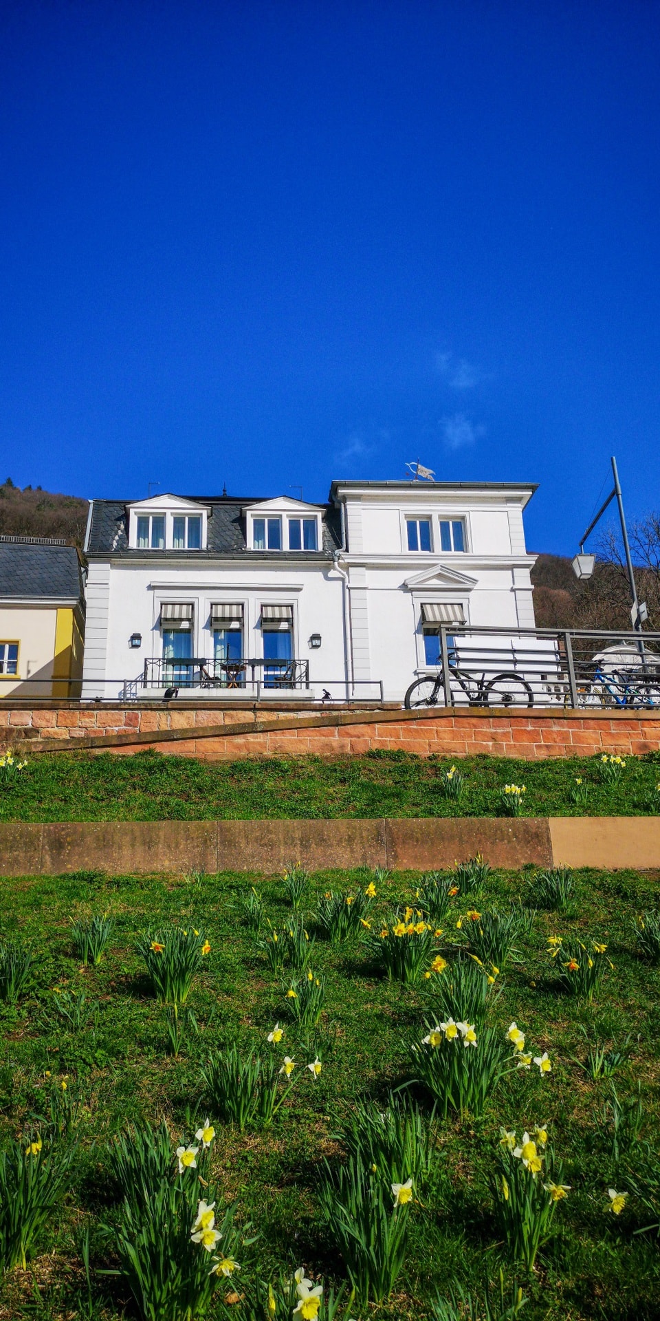 Heidelberg Suites overlooking the Neckar river