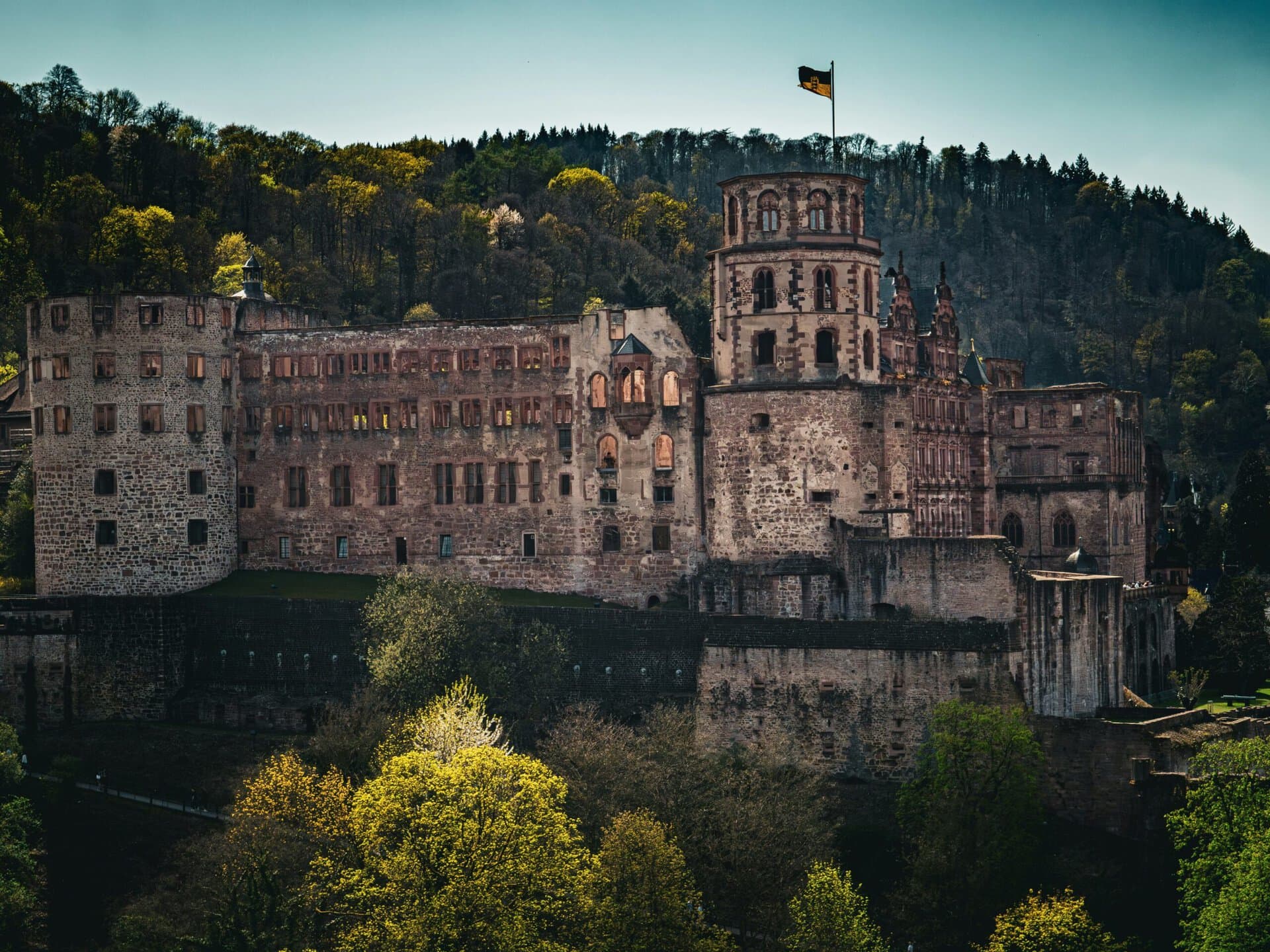 Professional photographer capturing architectural details in Heidelberg