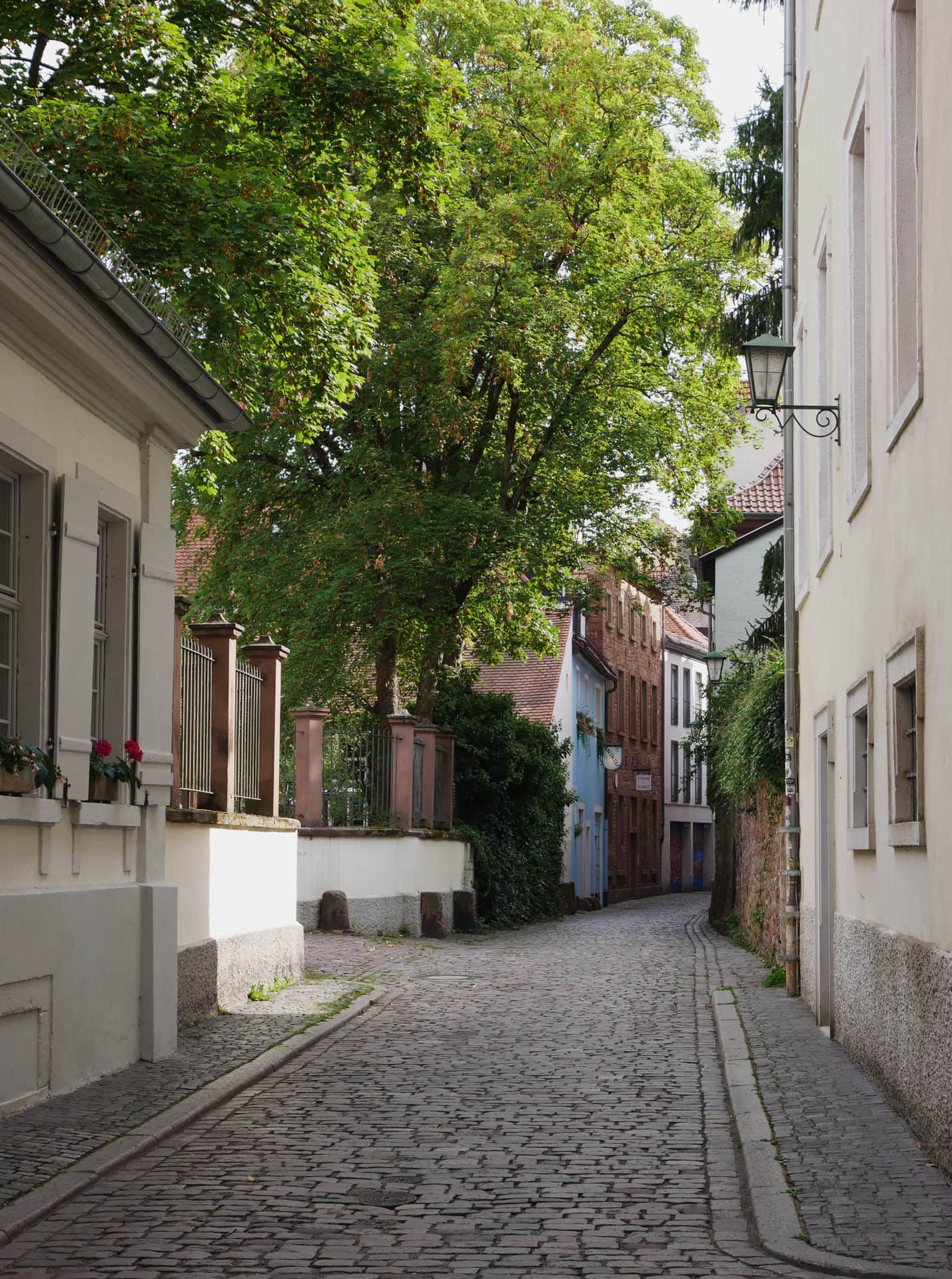 Seitenstraße zum Kunstforum