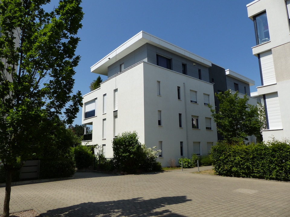Die Gebäude wurden auf einander abgestimmt! (Foto von Noel Bittner)