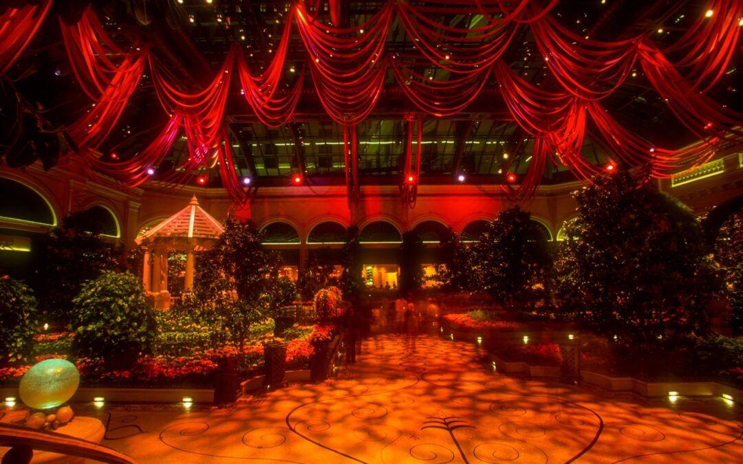 a large room with a lot of plants and lights