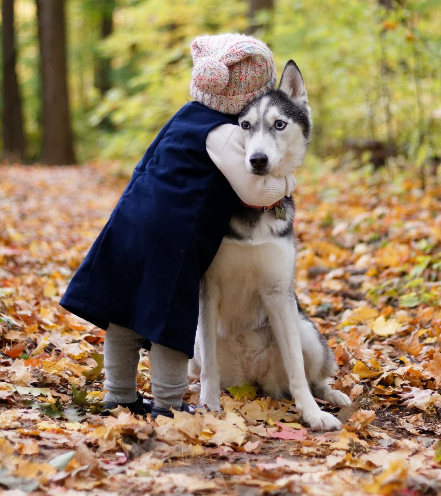 Children training dogs together in Heidelberg dog school
