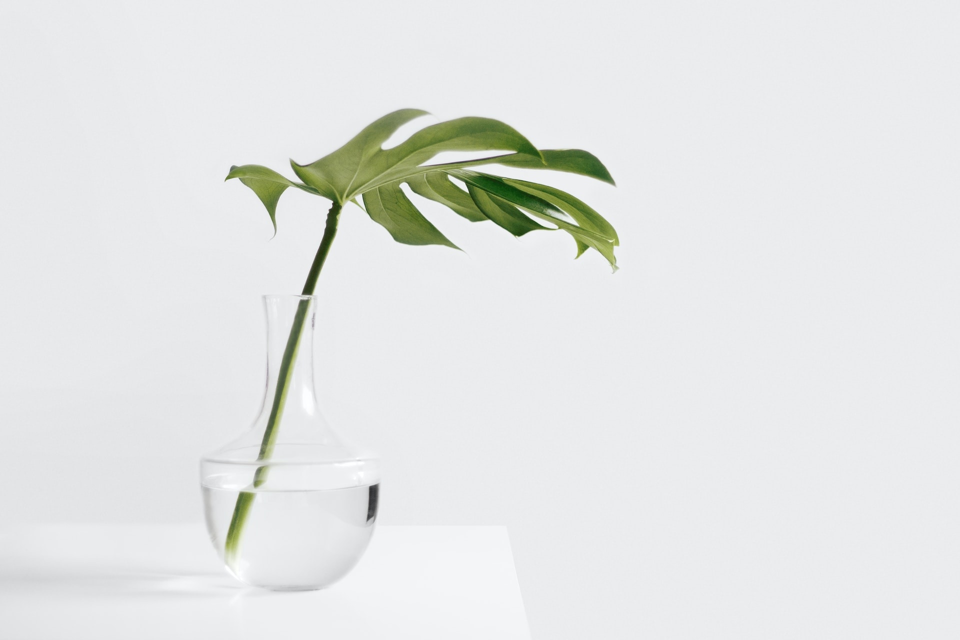 Skin hydration moisturizing Heidelberg cosmetics