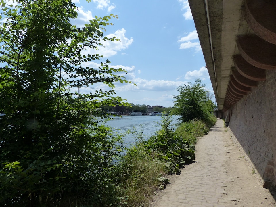 Malerische Aussicht auf die Neckarwiese mit Blick auf das Heidelberger Schloss