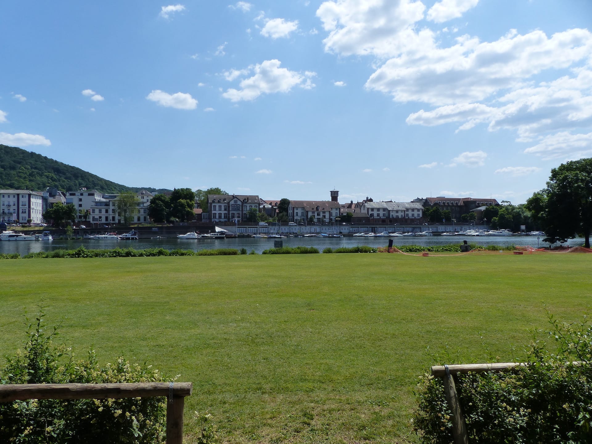 Neckarwiese Heidelberg