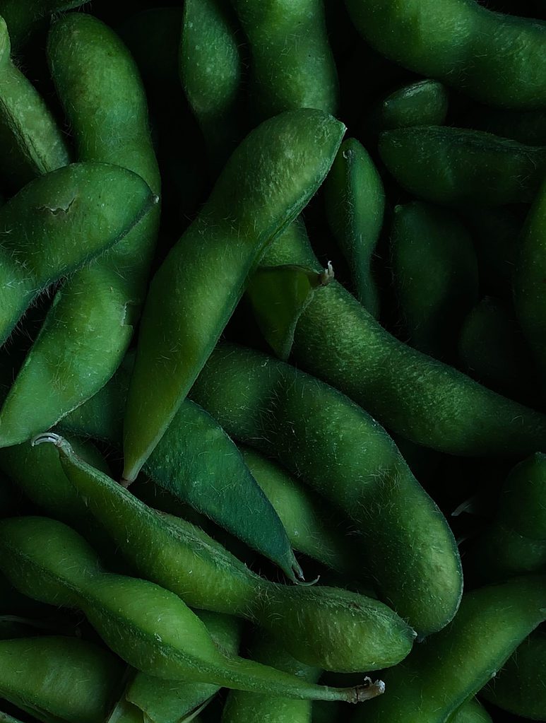 Edamame frisch gekocht, ungesalzen