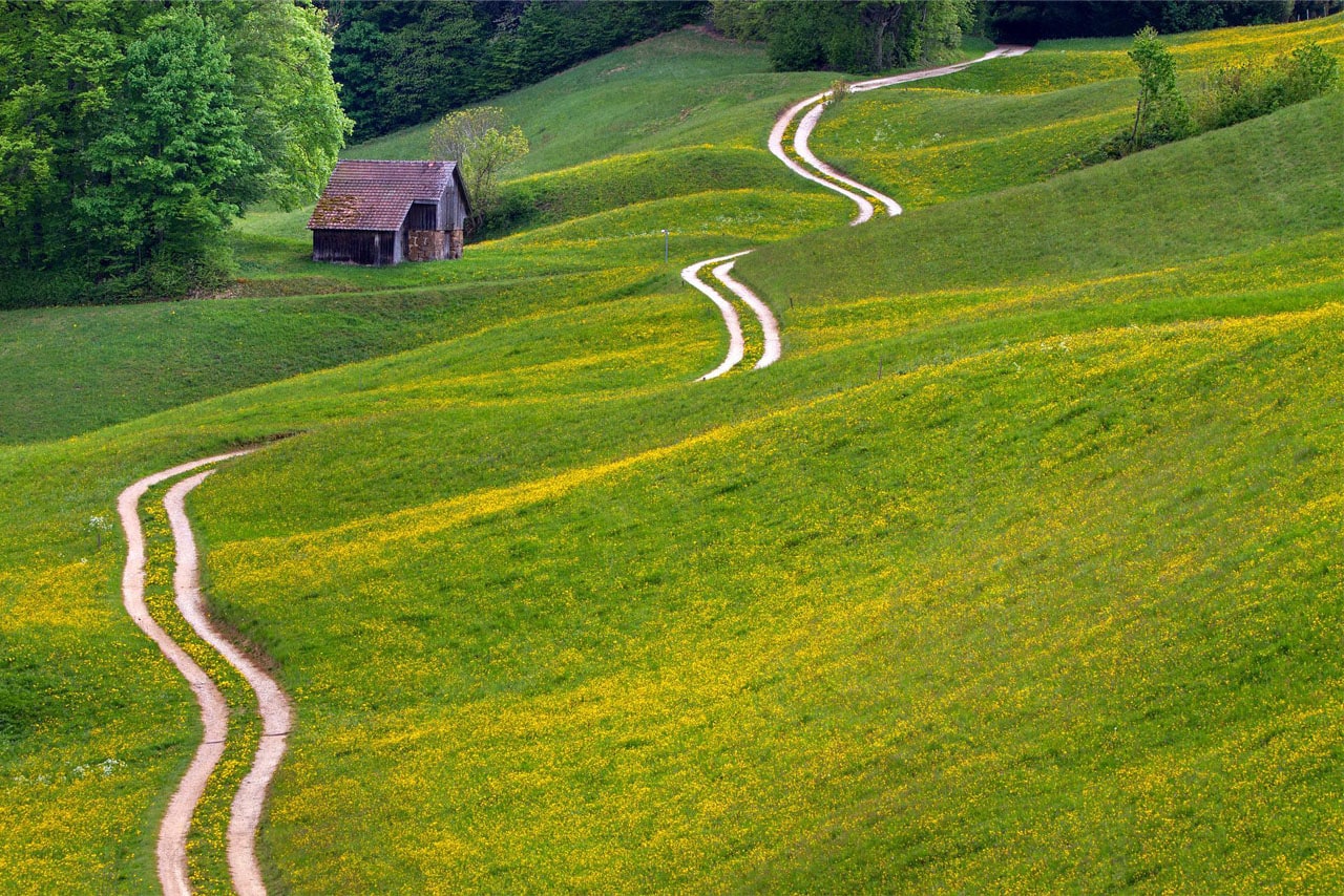 Weg, Wiese, Trail 